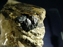 晶质铀矿1041