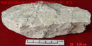 伟晶岩石英钠长石钾长石型铌钽锡矿,伟晶岩,Pegmatite