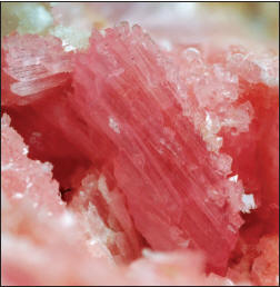 Crystal of marshallsussmanite with calcite, crystal 1.4 cm high. Marin Mineral specimen. M. Origlieri photo.