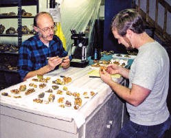 Preparation of the orpiments in the Collector’s Edge lab. 