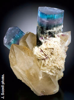Elbaite with quartz and albite from the “six-pack” pocket found in 1984 in the Tourmaline Queen Mine, USA. 13.2 cm tall.
