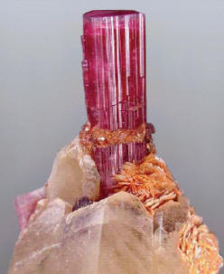 10 cm tall tourmaline on quartz collected as one of the last specimens before mine closed in 2001. Swoboda specimen.