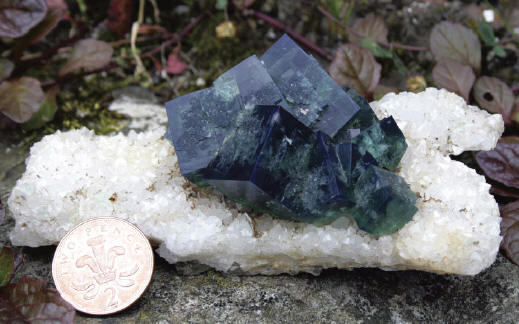 Fluorite on quartz from the Rat Hole Pocket, photographed in artificial light (upperphoto) and daylight, size of specimen 12 cm. UKMV specimen. J. Fisher photo.
