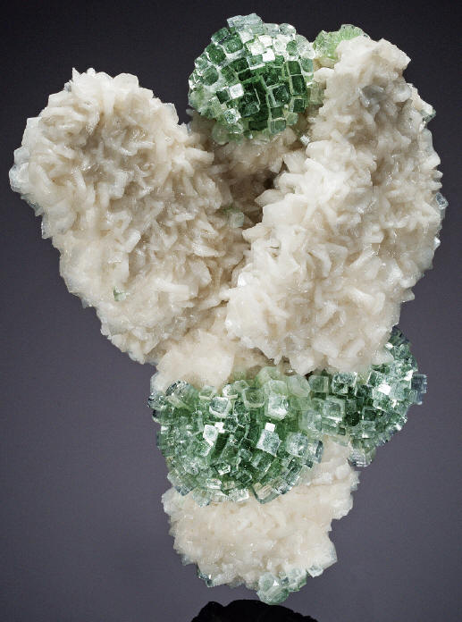 Apophyllite “disco balls” on stilbite from the first find, 26.6 cm tall. ex Hoppel collection. Mark Mauthner photo; courtesy Heritage Auctions.