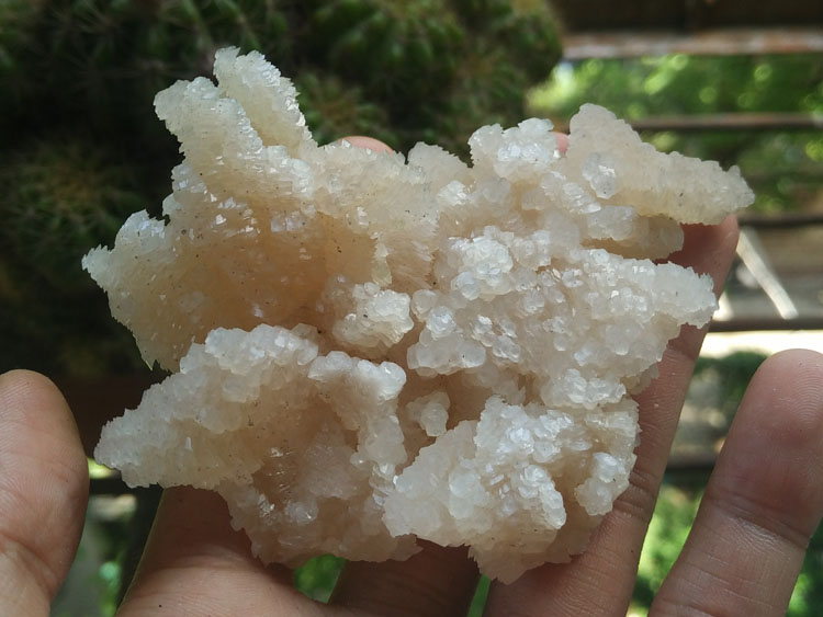 The Yaogangxian pink coral fish phosphorus calcite crystal specimens gem stone ornamental stone ore,Calcite