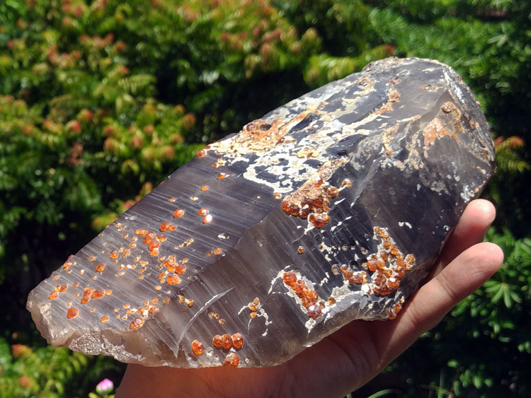 A large smoky Quartz and manganese aluminum garnet mineral crystal gem stone ore samples,Garnet,Quartz