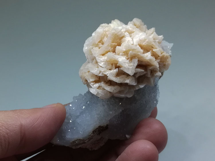 Quartz pillars are blooming in a dolomite Flower mineral crystal mineral,Dolomite,Quartz