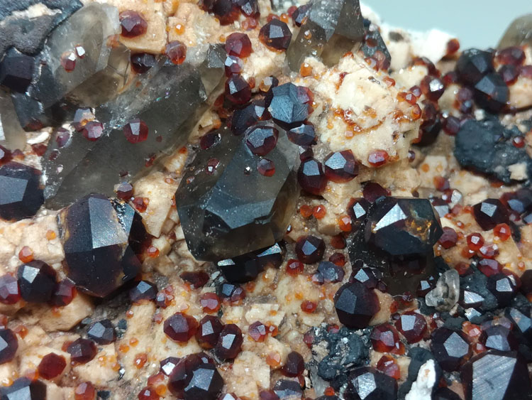 Red wine and manganese aluminum garnet crystal mineral crystal gem stone ore samples,Garnet,Quartz