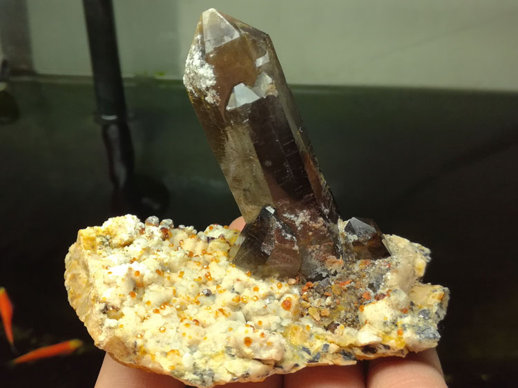 Eight face and crystal garnet mineral crystal gem stone ore material specimens,Quartz,Garnet
