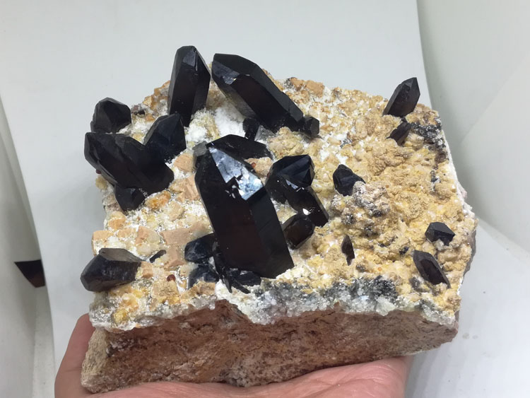  烟晶和石榴石共生矿物晶体标本宝石原石原矿 Smoky Quartz and garnet mineral crystal specimens gem stone ore,Quartz,Garnet