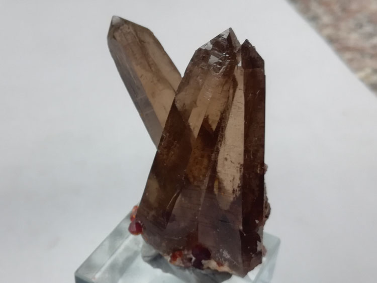 Ultra bright, fully transparent Smoky Quartz and garnet paragenetic mineral specimen Crystal Gemston,Quartz,Garnet