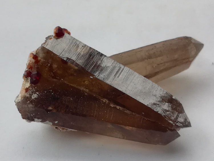 Ultra bright, fully transparent Smoky Quartz and garnet paragenetic mineral specimen Crystal Gemston,Quartz,Garnet