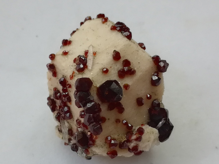 Wine red manganese aluminum garnet and feldspar mineral crystal specimens,Garnet,Feldspar