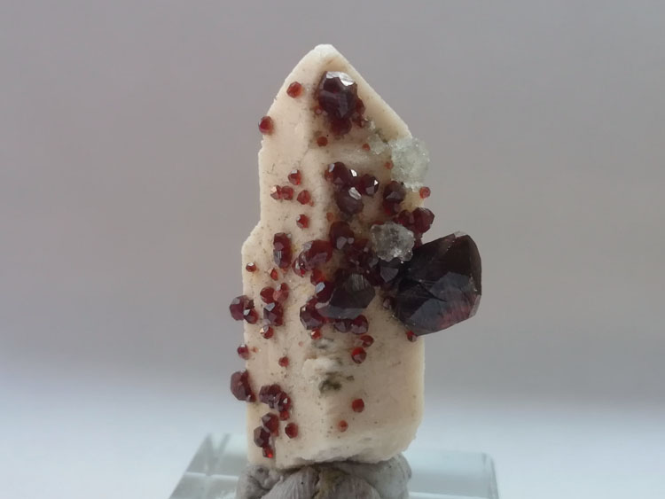 Brilliant glossy red garnet, fluorite and feldspar symbiosis crystal specimen. Gemstone raw stone or,Garnet,Feldspar,Fluorite