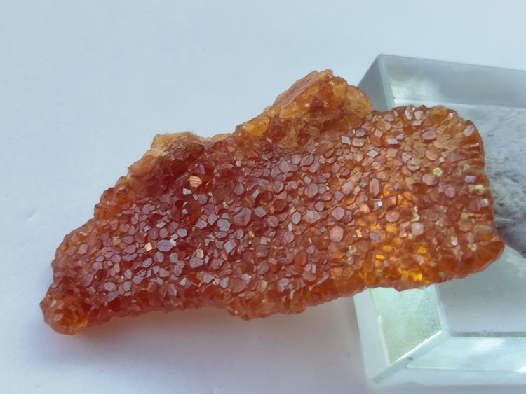 plate manganese aluminum garnet gem mineral cluster crystal crystal specimens,Garnet
