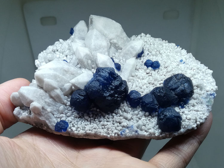 Symbiotic Mineral Specimens of Dark Blue Fluorite and Milky White Quartz,Fluorite,Quartz