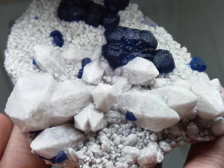 Symbiotic Mineral Specimens of Dark Blue Fluorite and Milky White Quartz,Fluorite,Quartz