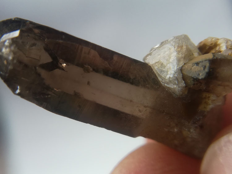 Octahedral Fluorite and High Transparency Smoke Crystal Symbiotic Mineral Specimens Crystal Gemstone,Quartz,Fluorite