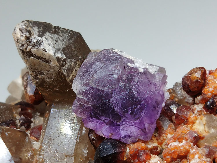 Purple Fluorite manganese-aluminum garnet spessartine Smoky Quartz Symbiotic Mineral Specimens Cryst,Garnet,Fluorite,Quartz