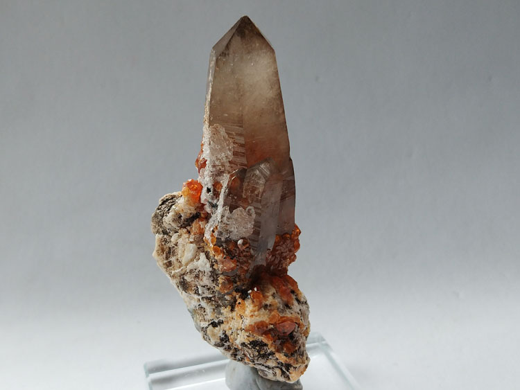 Specimens of manganese-aluminum garnet spessartine and Smoky Quartz symbiotic minerals Crystal gemst,Garnet,Quartz