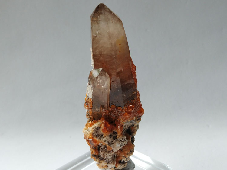 Specimens of manganese-aluminum garnet spessartine and Smoky Quartz symbiotic minerals Crystal gemst,Garnet,Quartz