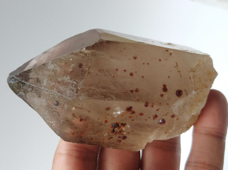 Smoky Quartz Mineral Specimens of Ultra-large Crystal Manganese-aluminum garnet spessartine Inclusio,Garnet,Quartz