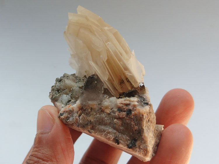 Calcite,Smoky Quartz Mineral Specimens Mineral Crystals Gem Materials,Calcite,Quartz