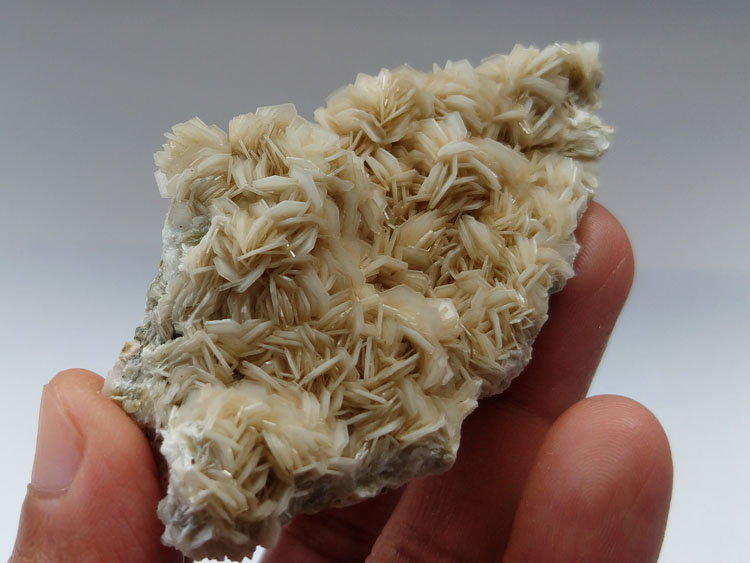 Flower like Calcite Orthoclase Microcline Feldspar Mineral Specimens Mineral Crystals Gem Materials,Calcite,Feldspar