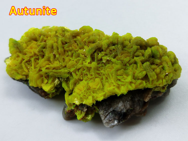 Autunite stone mineral samples Chinese rare ore ,Autunite